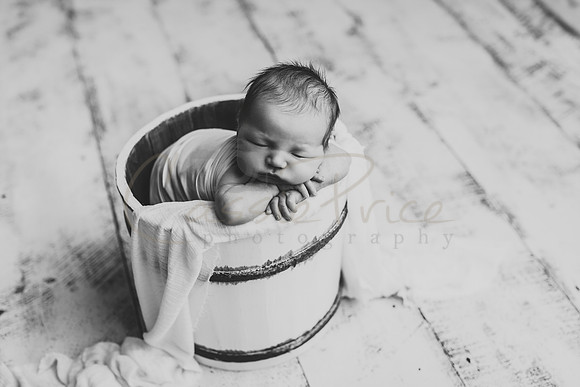 GH4A3572bw