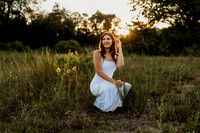 GH4A1067
